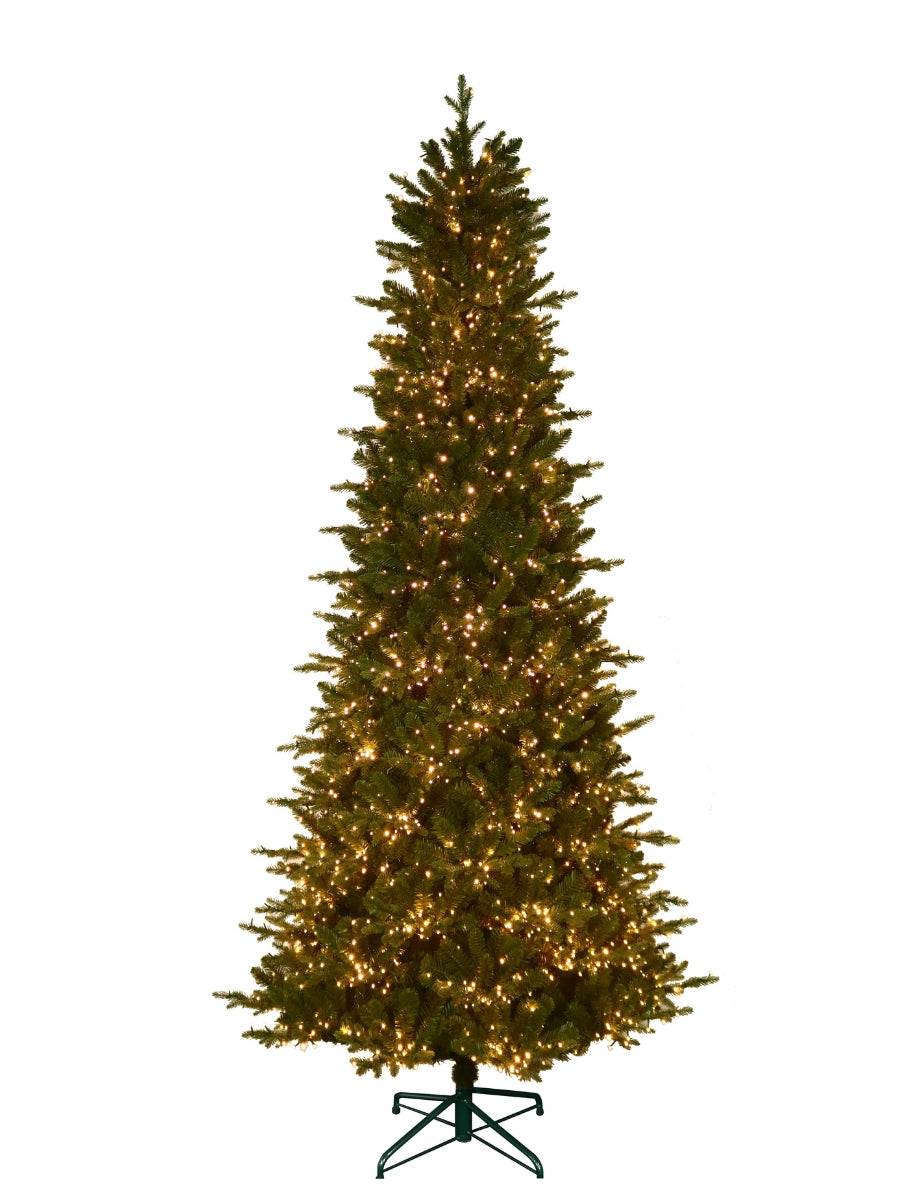 Alberta Slim Spruce 9'